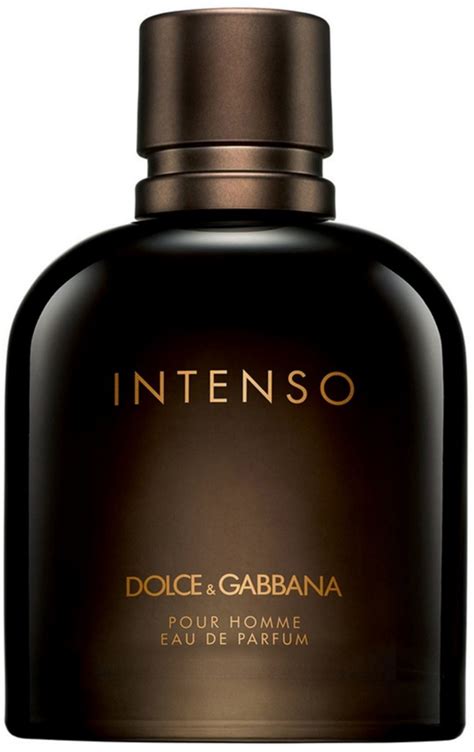 dolce gabbana for men